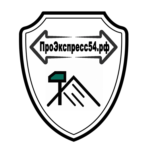ПроЭкспресс54