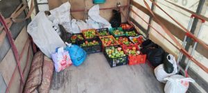 Урожай в кузове газели